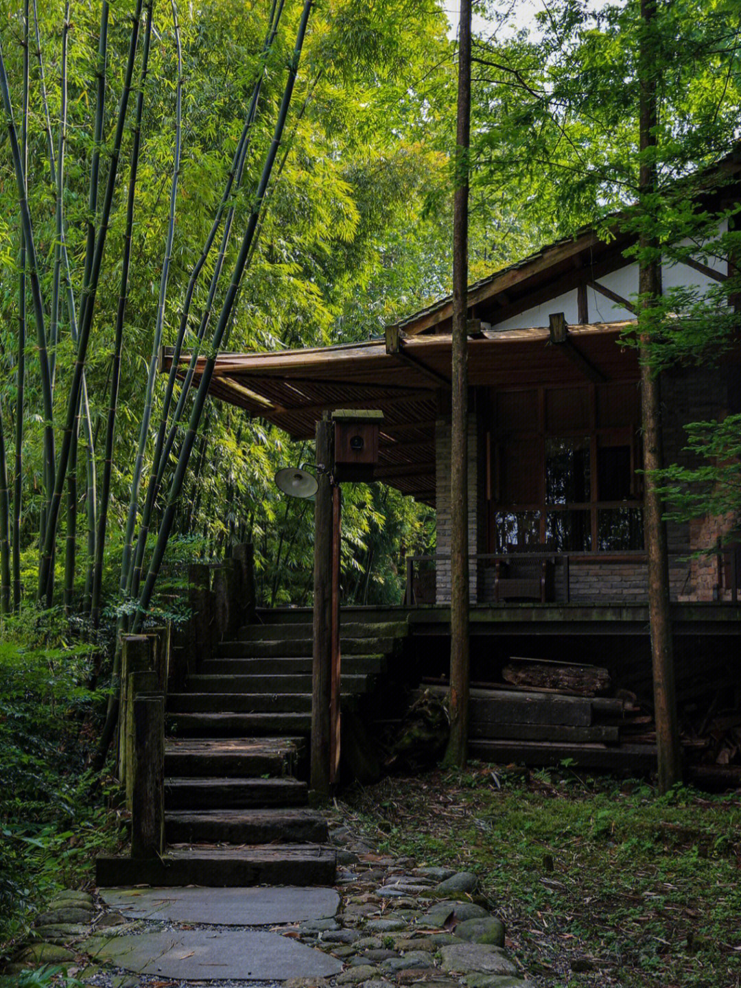 天台山看萤火虫住宿图片