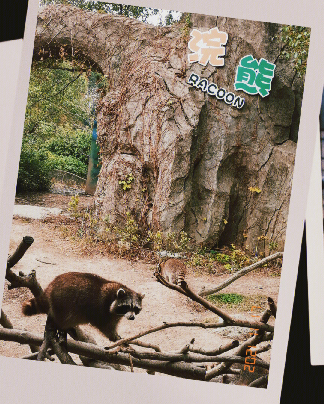 石峰公园动物园图片