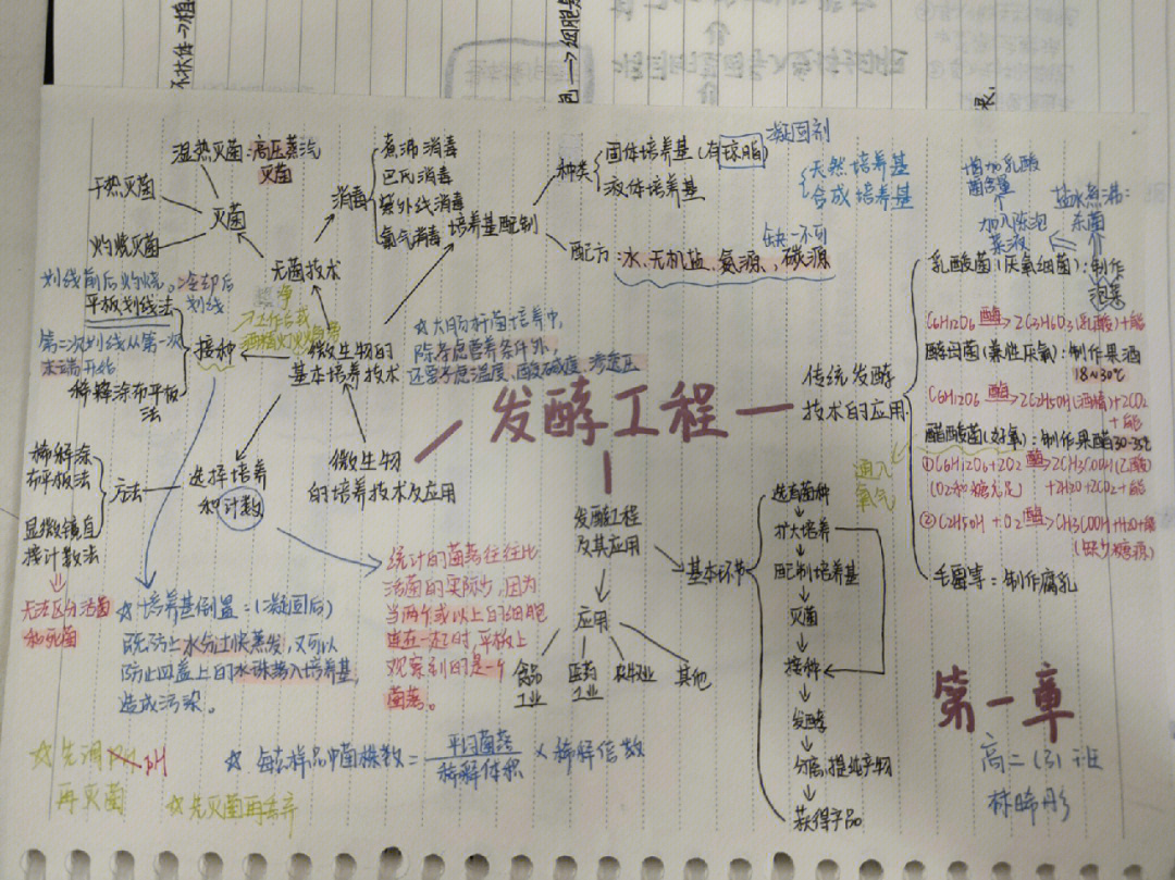 生物选修3思维导图图片