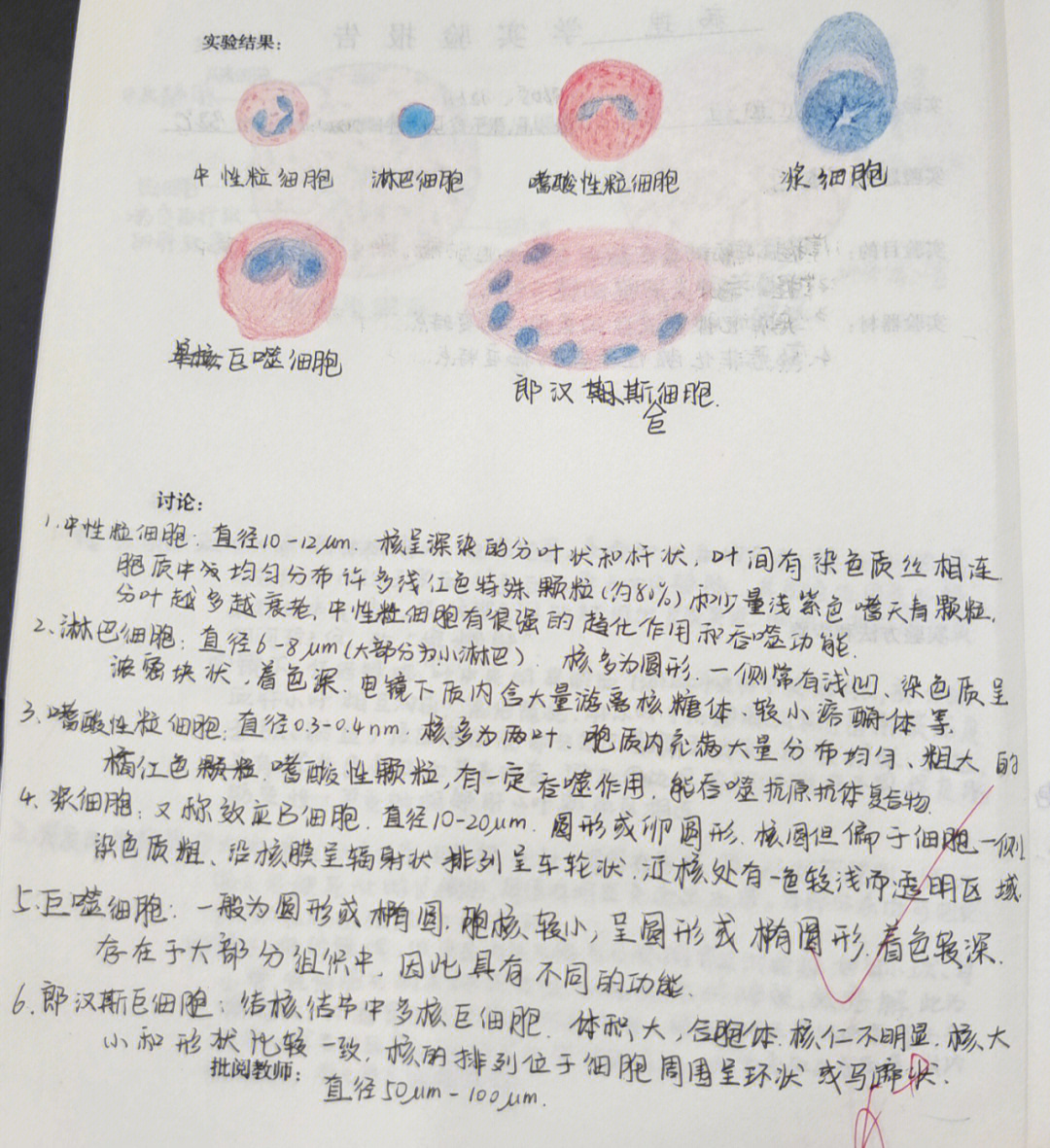 风湿性心肌炎4,大叶性肺炎(灰色肝变样期)