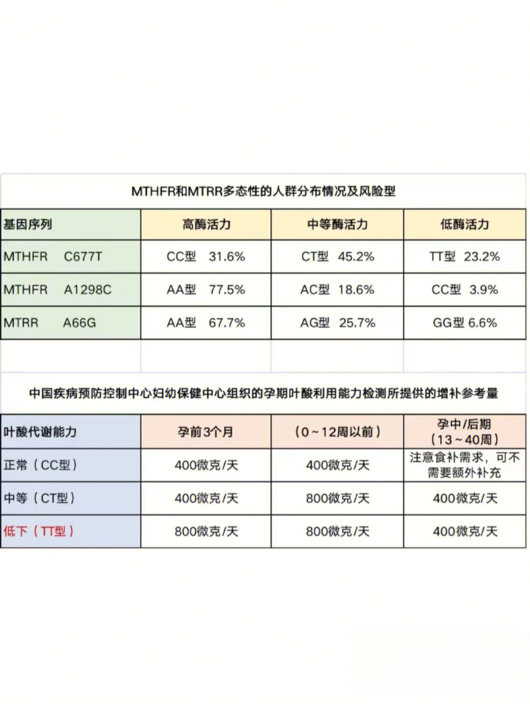 叶酸代谢基因检测报告图片