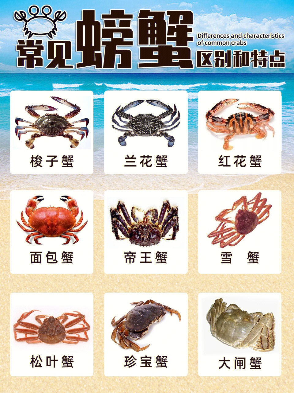 95秋风起,蟹脚痒,秋天正是吃螃蟹的好时节!