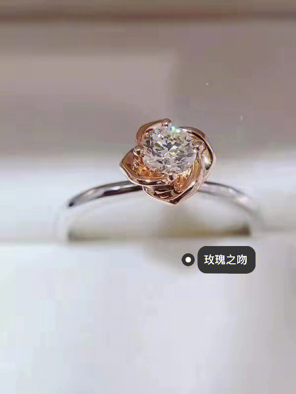 钻石世家戒指里的logo图片