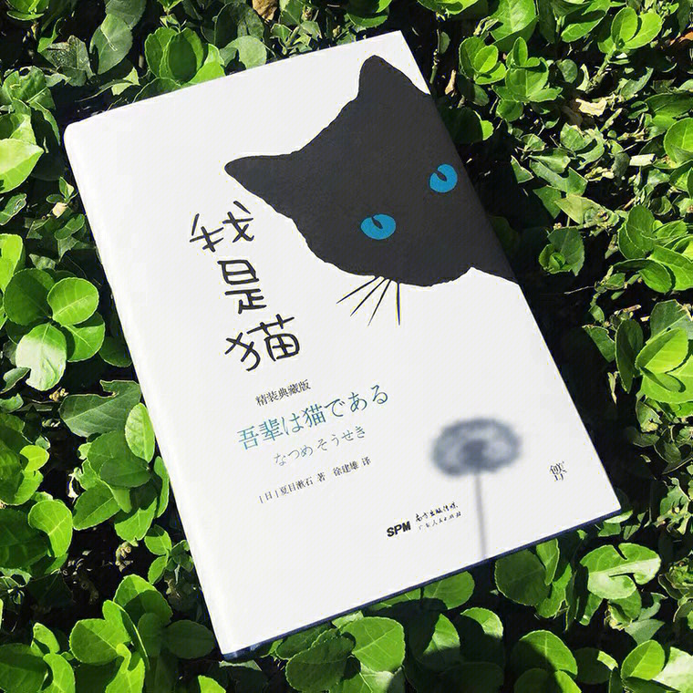 静茹李的好书分享我是猫夏目漱石1905