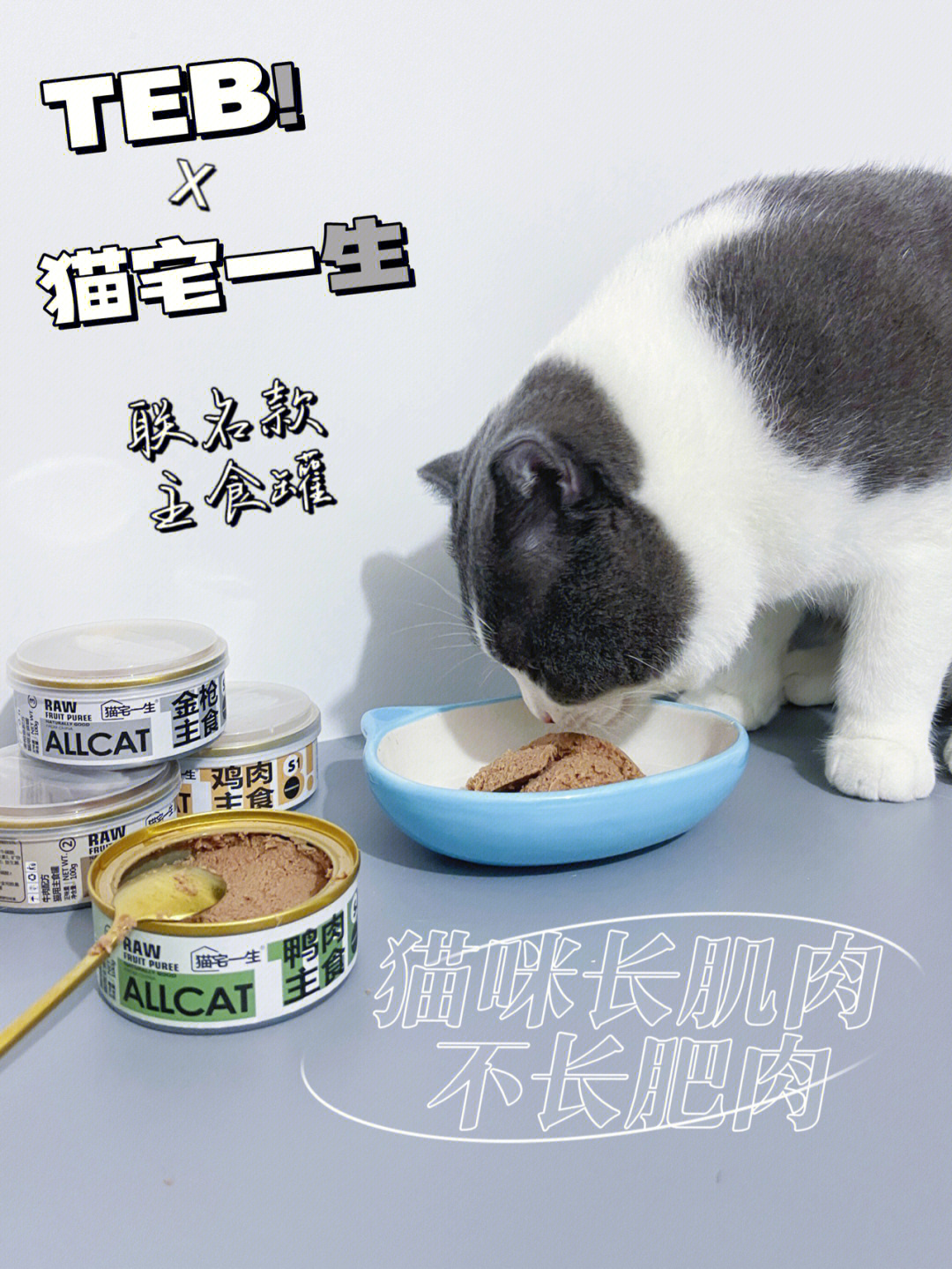 828288898383强强联合的高肉高蛋白的猫主食罐