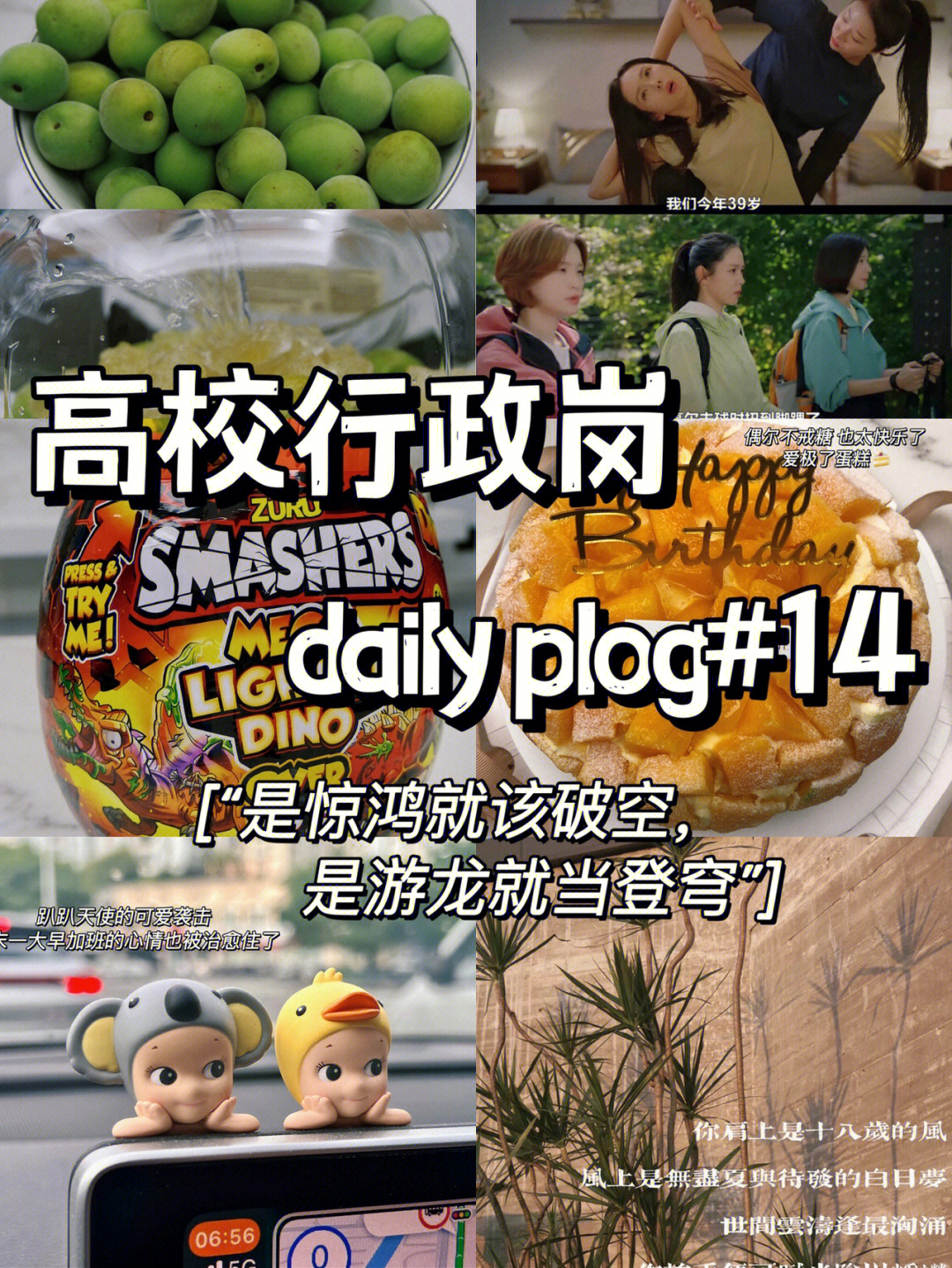 高校行政daily plog#14 是惊鸿就该破空