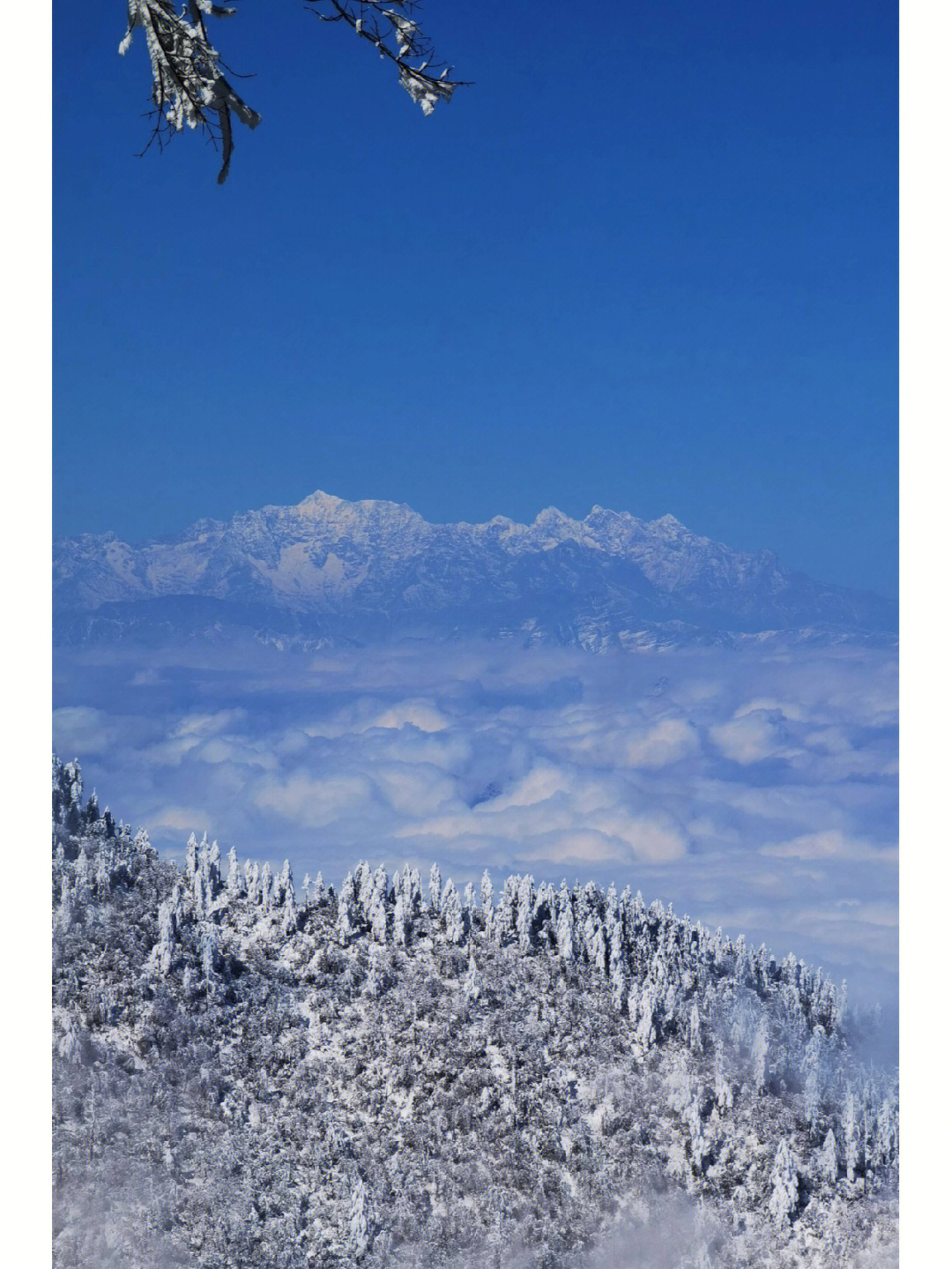 冬天一定要去瓦屋山看雪76