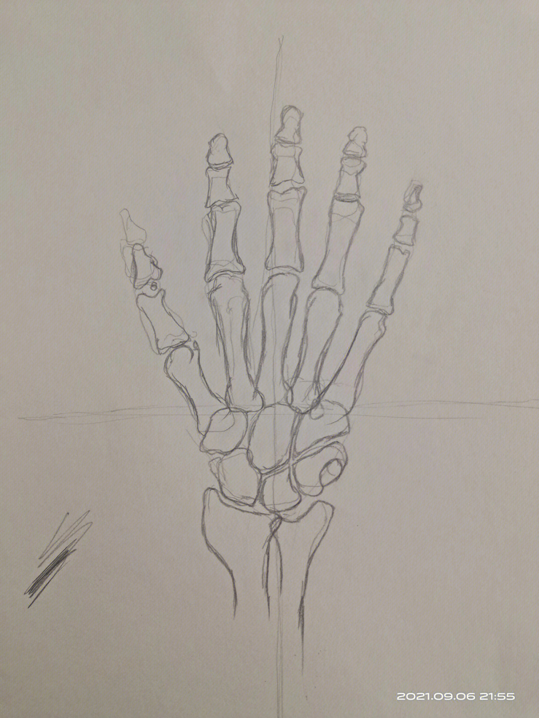 手掌骨头解剖图口诀图片