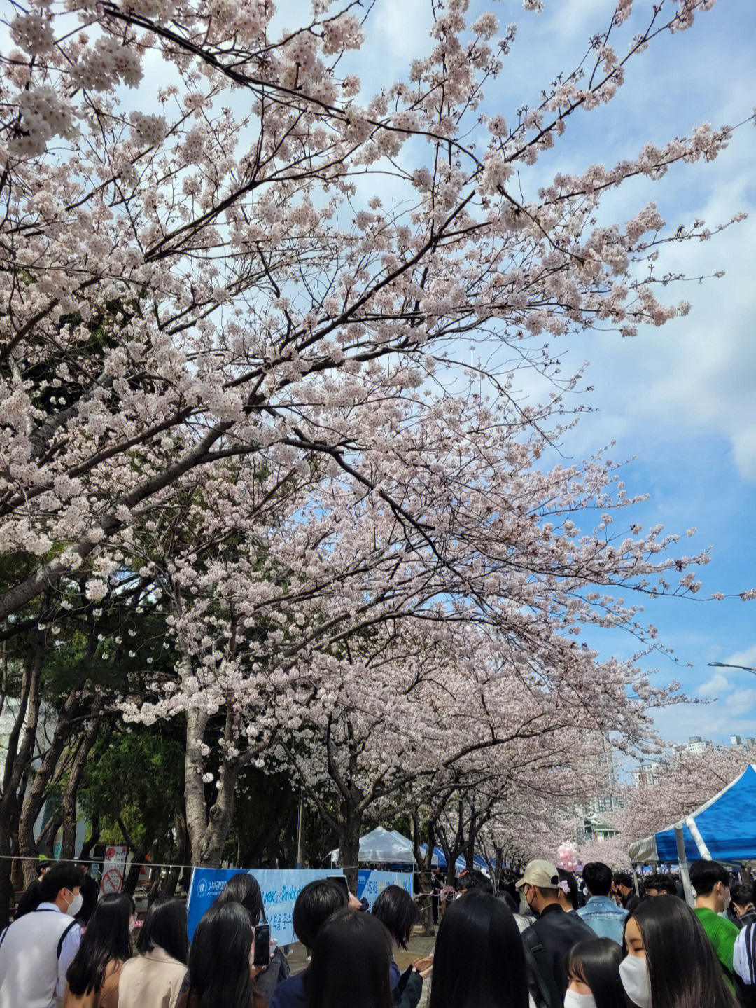 釜山釜庆大学图片