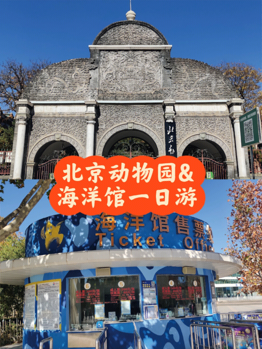 北京动物园海洋馆攻略图片