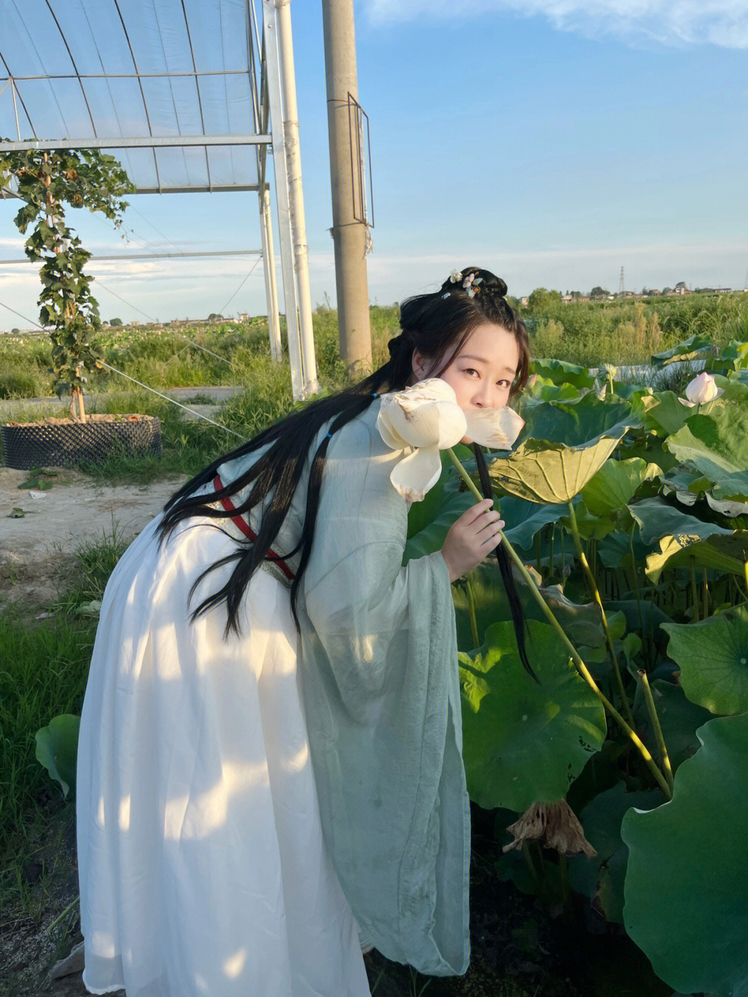 关关雎鸠在河之洲窈窕淑女君子好逑