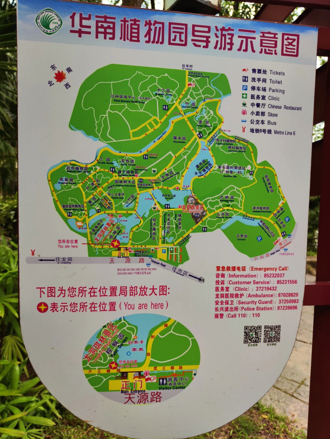 华南植物园游玩攻略