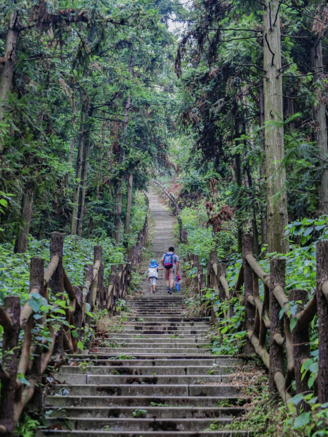 八分山徒步线路图片