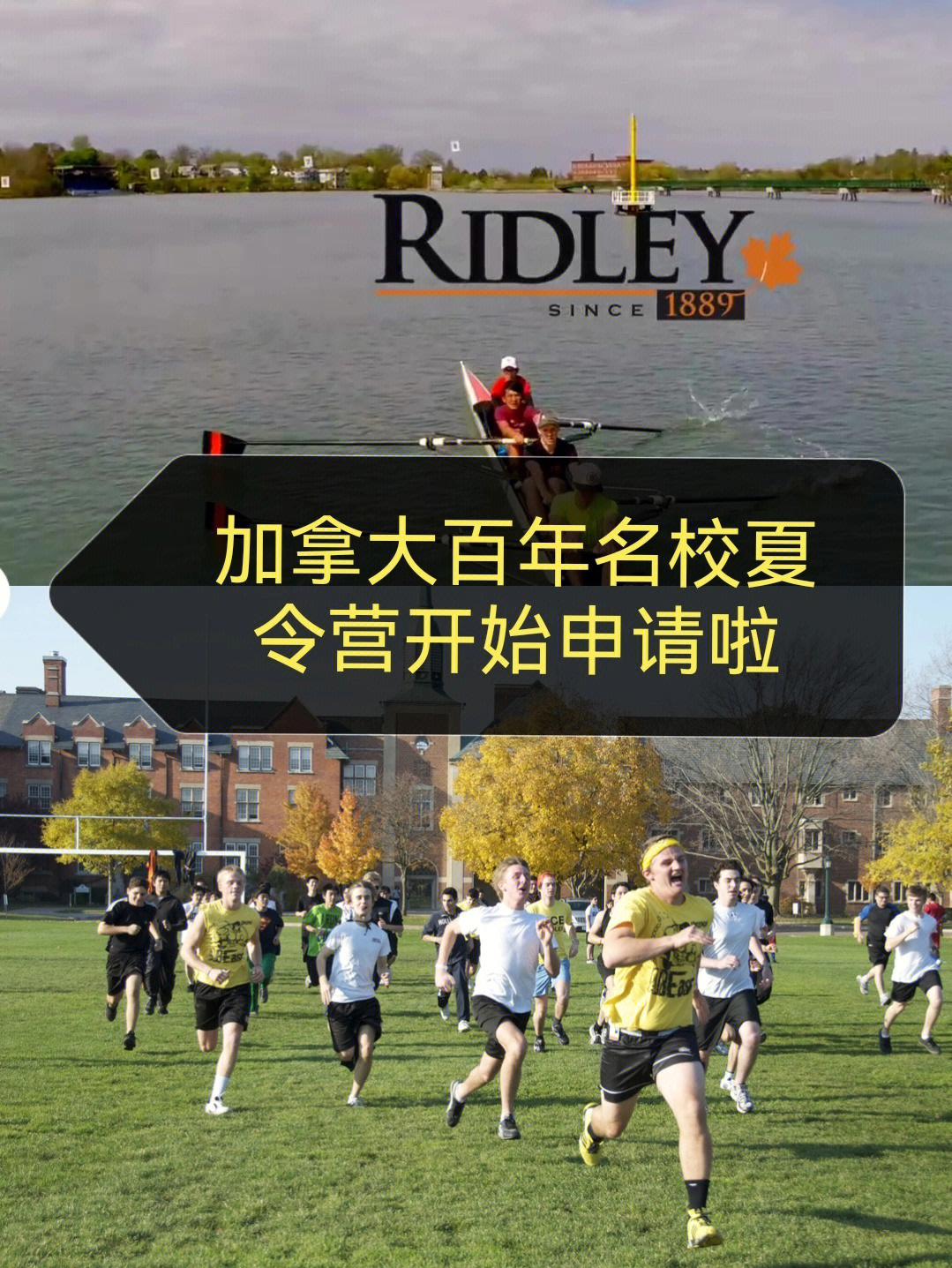 ridley college图片