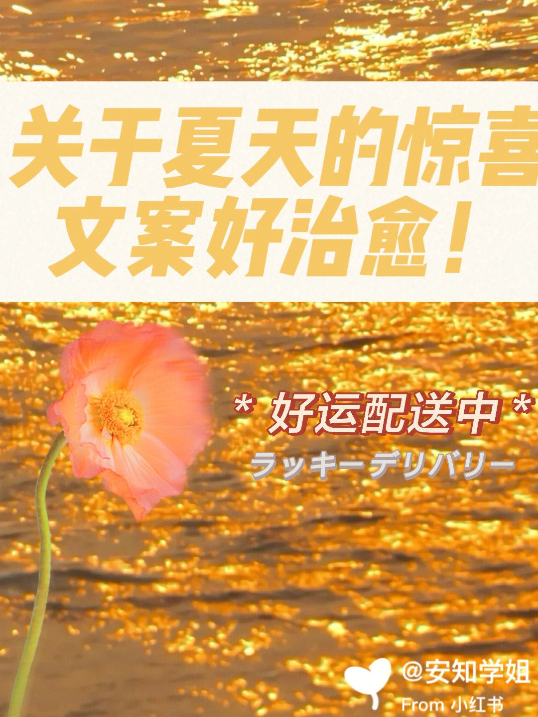 句句封神关于夏天的文案也太治愈了趴