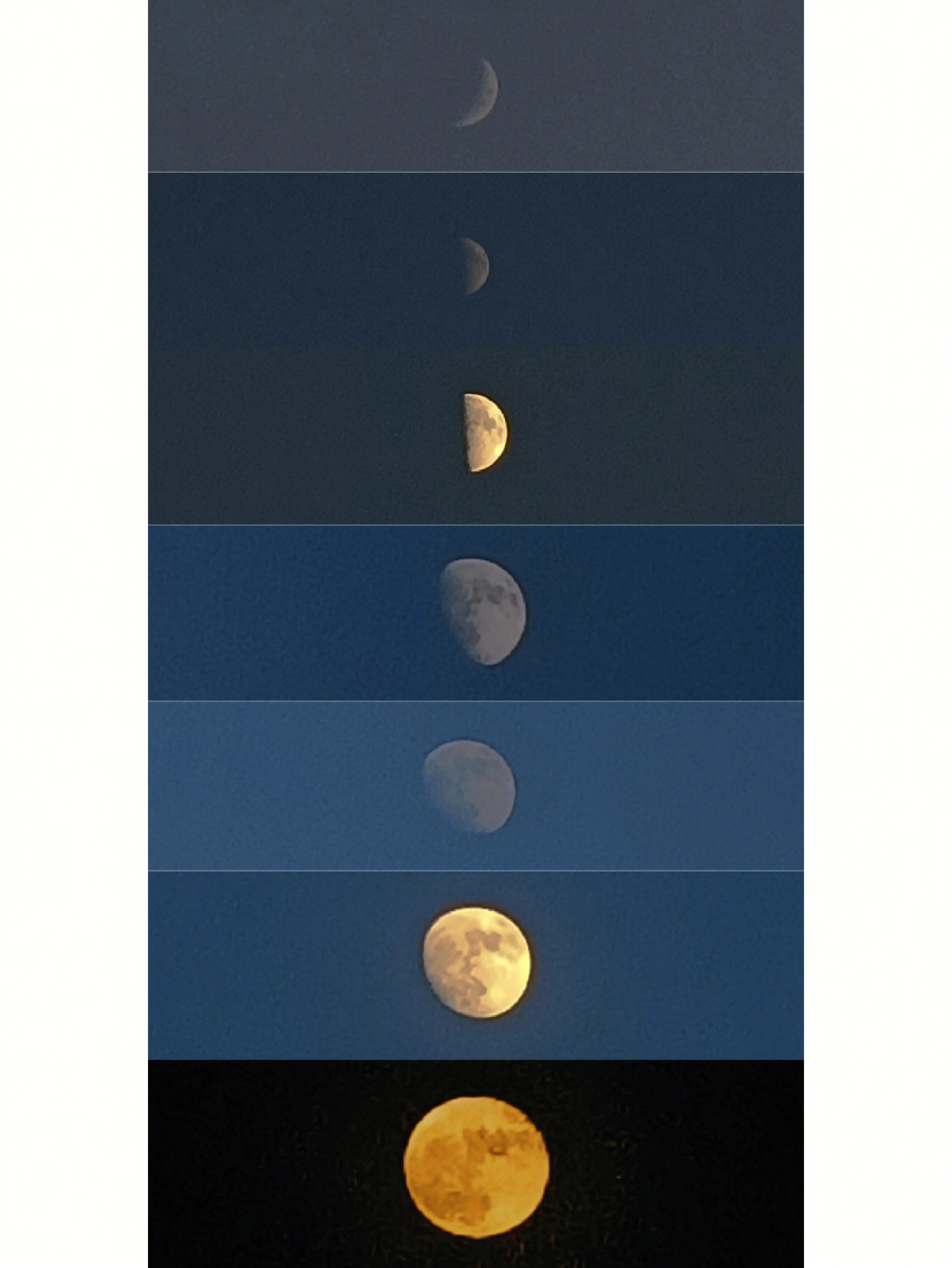 弦月凸月满月据说是今年最大的超级月亮月亮九点才出现而我六点就开始