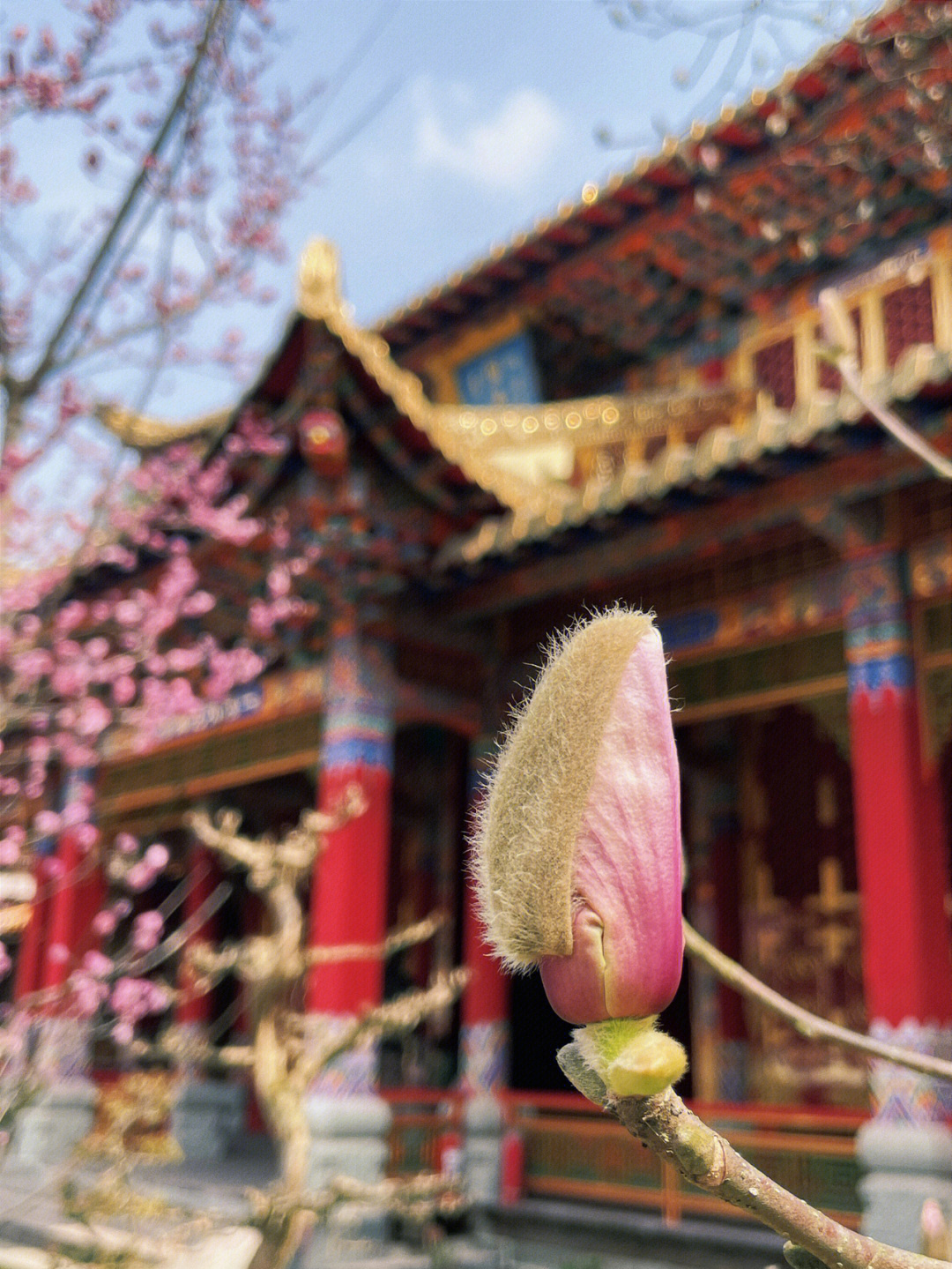 北京三圣寺净修大和尚图片