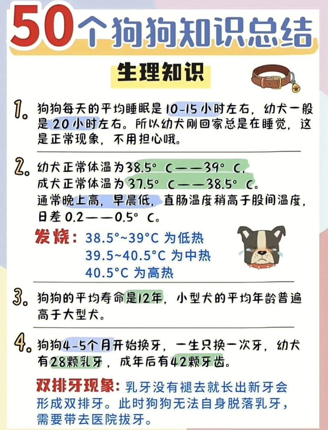 50个狗狗知识总结
