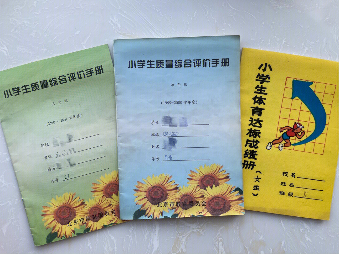 小学生质量综合评价手册1999年回忆杀