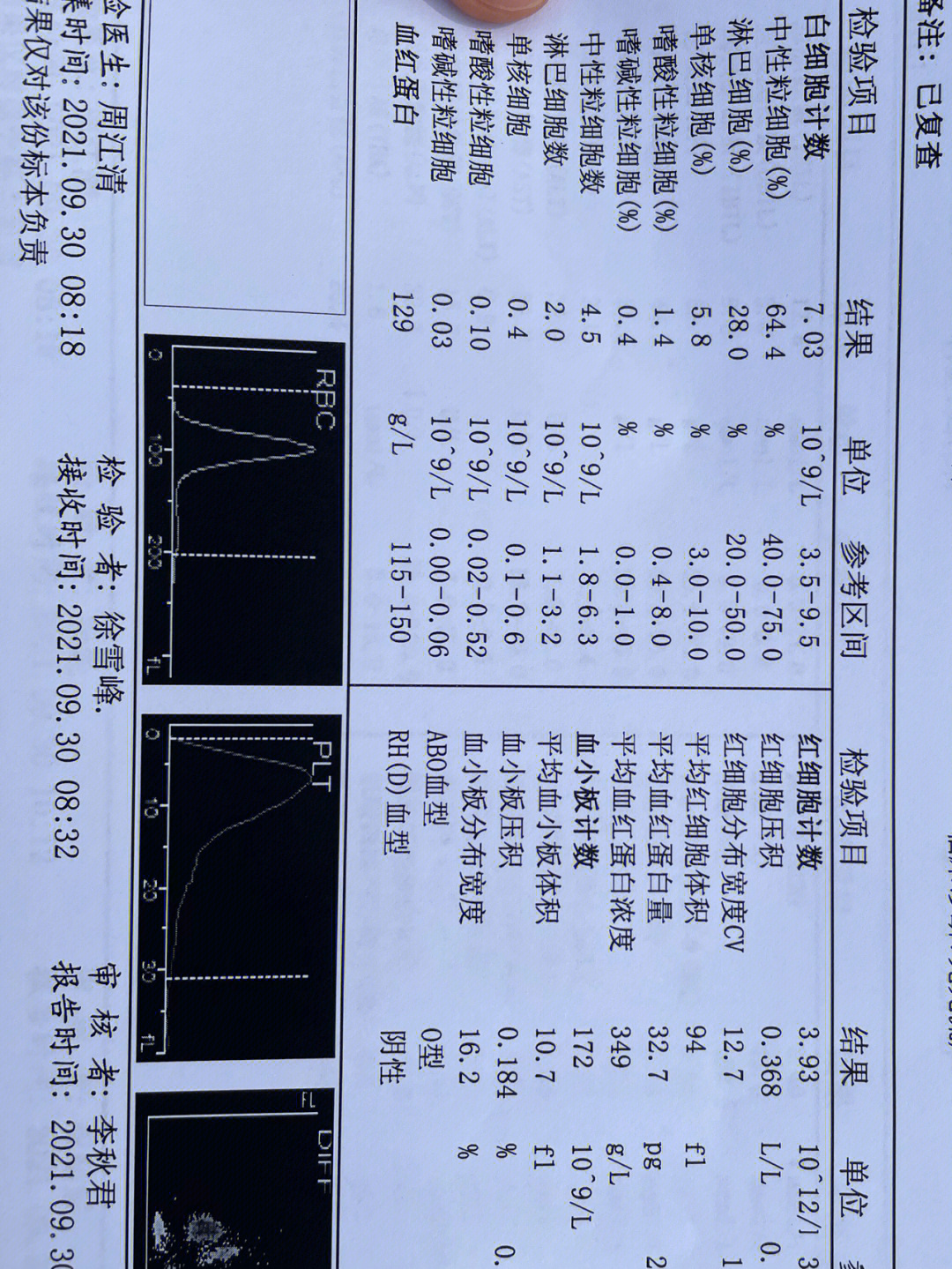 免疫球蛋白化验单图片