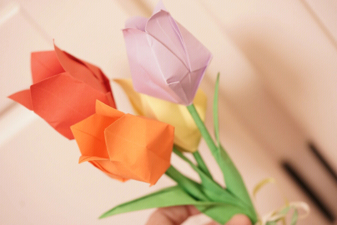 折纸郁金香简单图片
