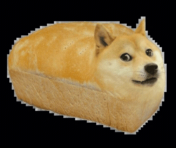 面包狗啥意思图片