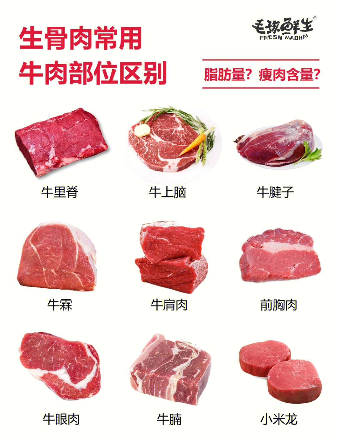 常见牛肉的区别和用途一张图讲清楚