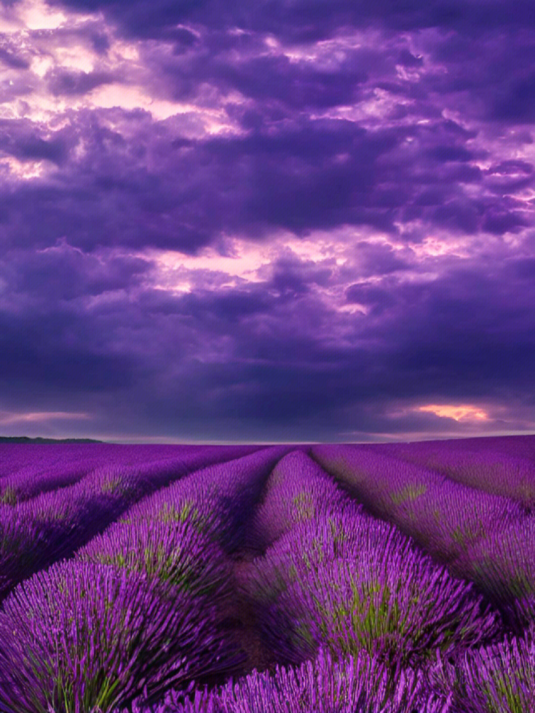 手机壁纸紫色风景图片
