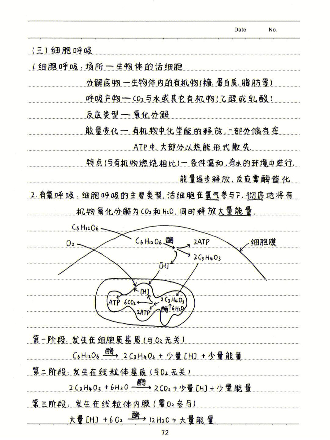 生物光合作用笔记图片图片