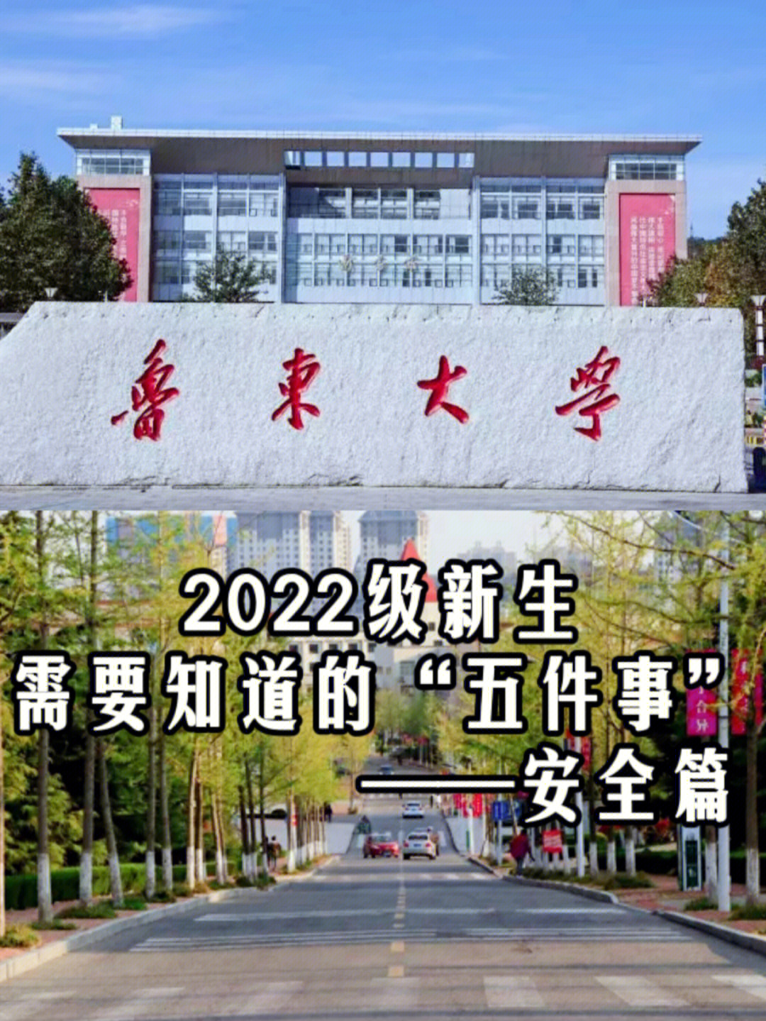 鲁东大学校训图片