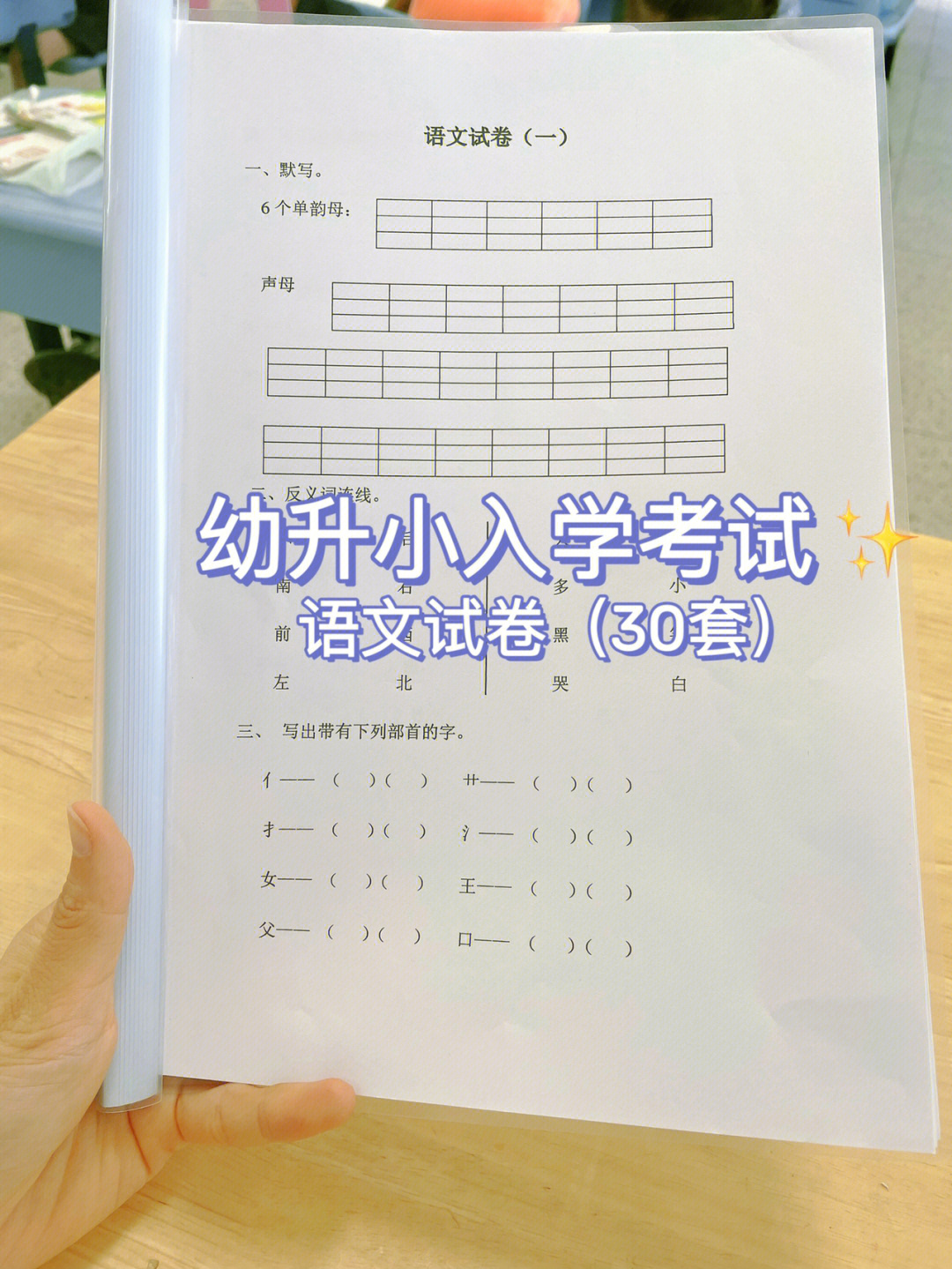 幼升小入学考试语文试卷30套