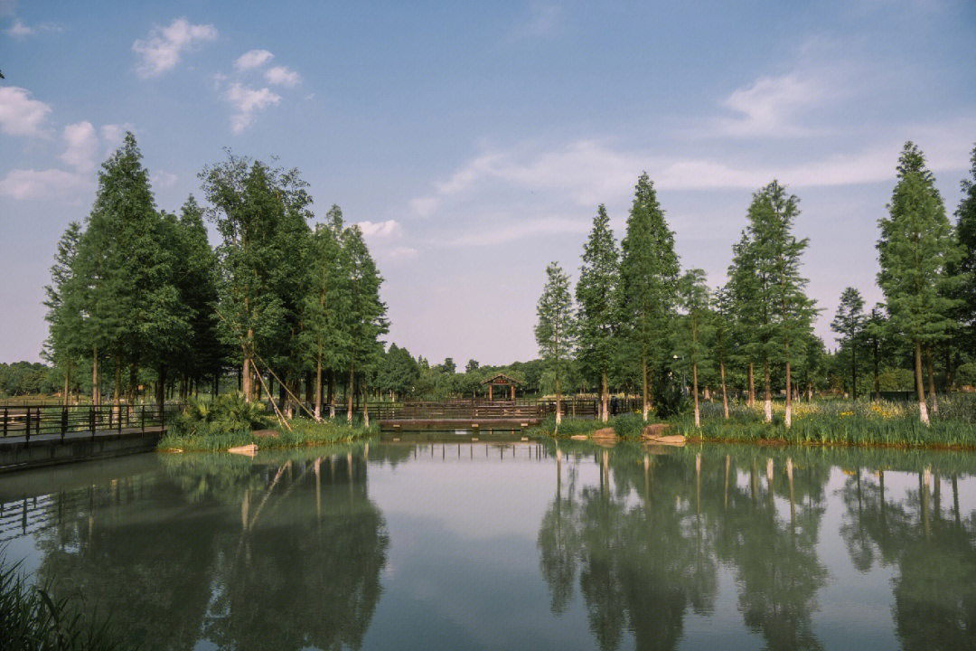 桐乡凤凰湖八个景区图片