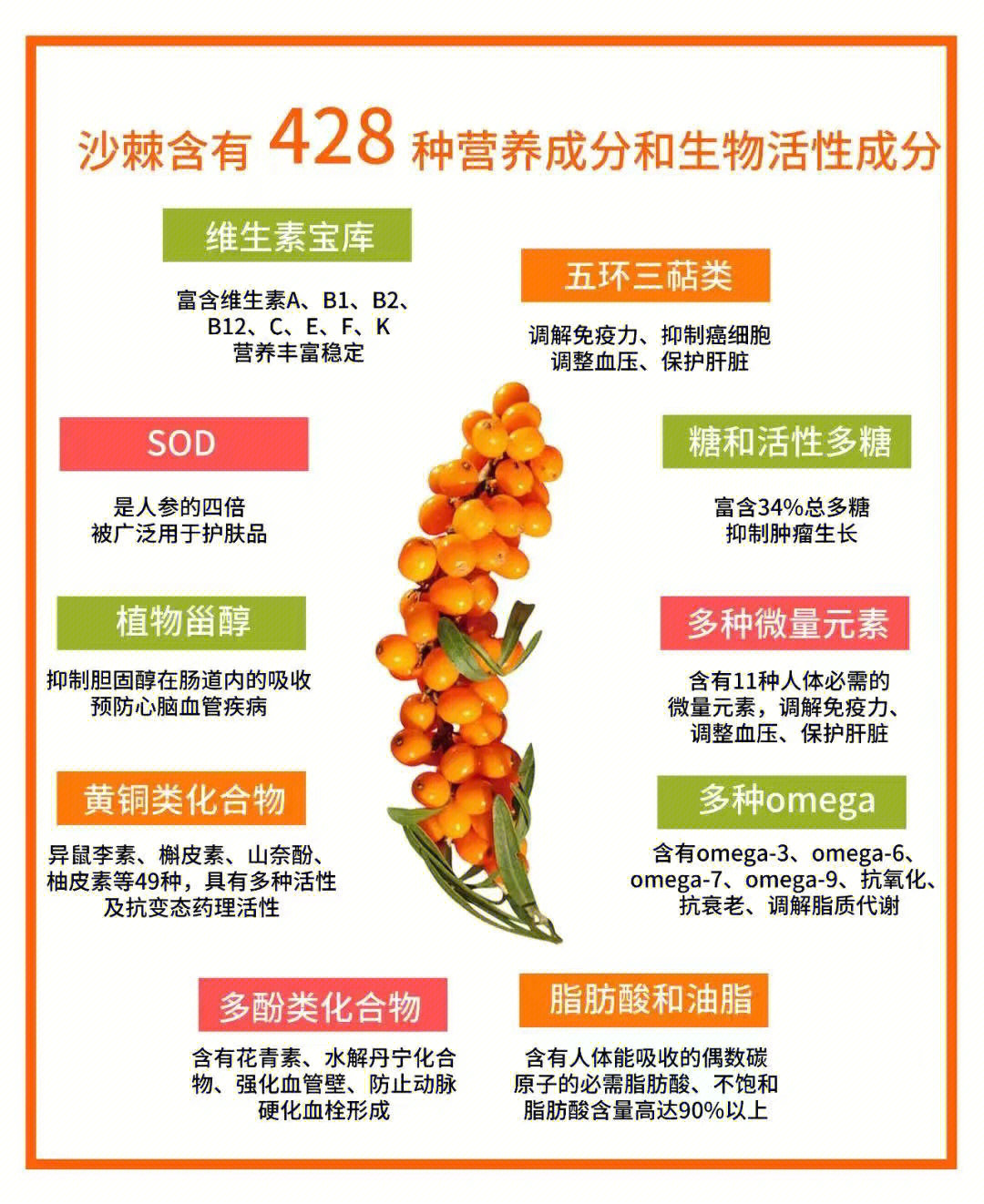 沙棘如何食用图片