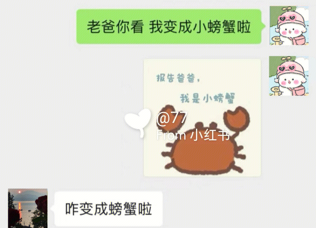 小螃蟹没钱啦表情包图片