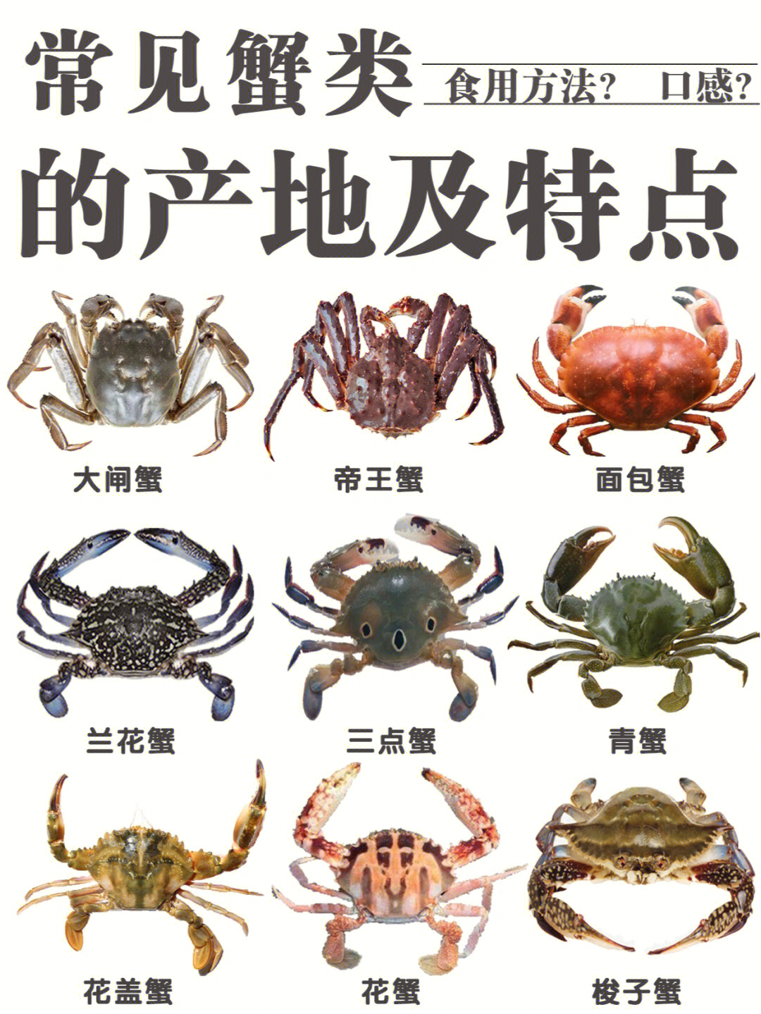 中国淡水蟹类大全图解图片