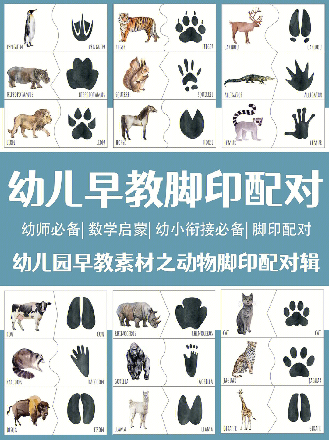 猫脚印狗脚印区别图图片