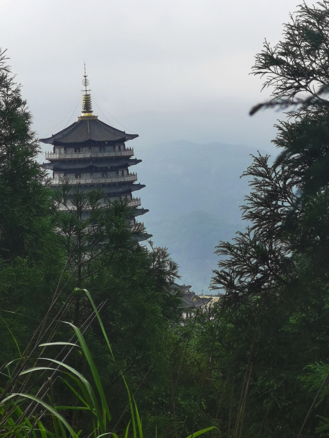 宜宾蕨溪天宫山图片