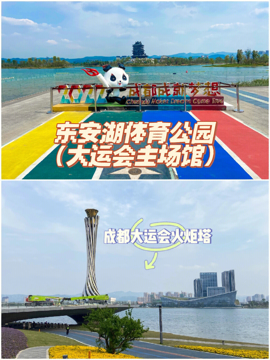 成都公园东安湖体育公园大运会主场馆