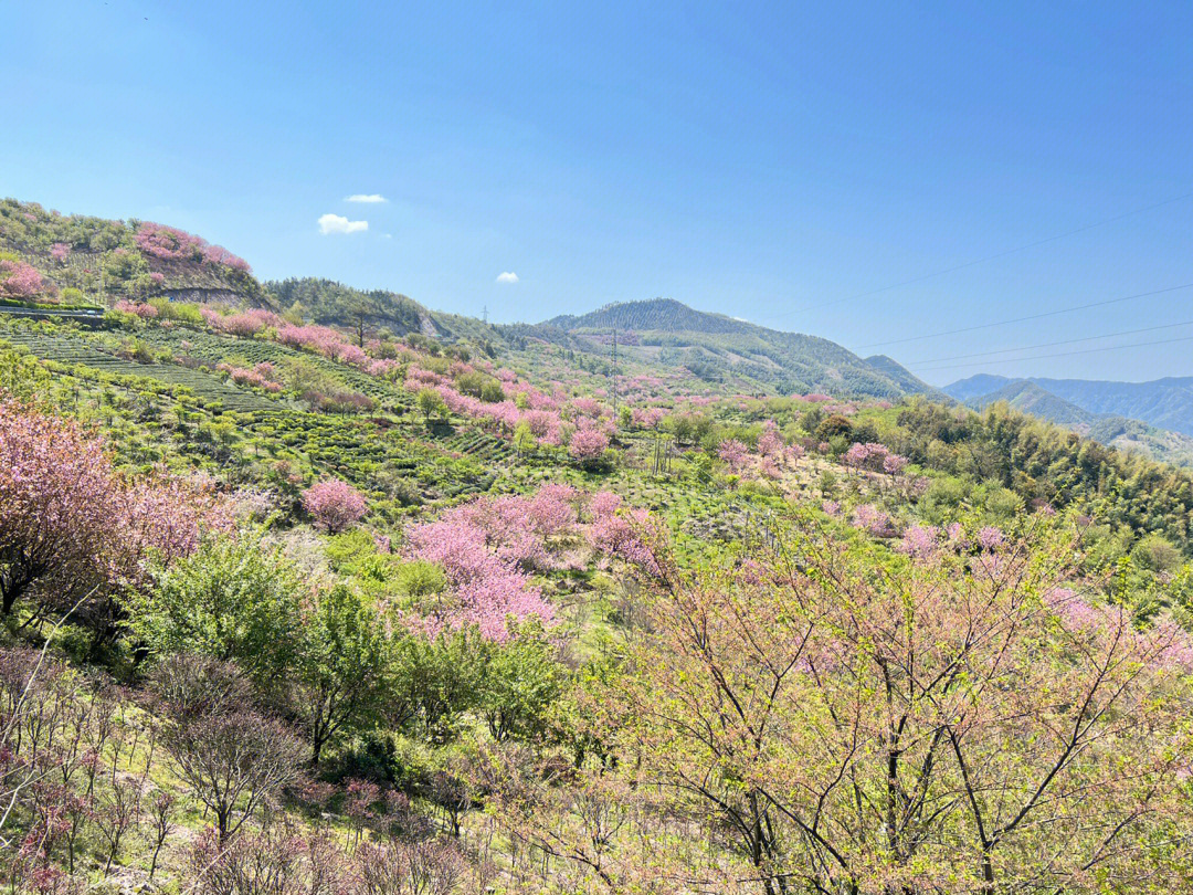 余姚四明山