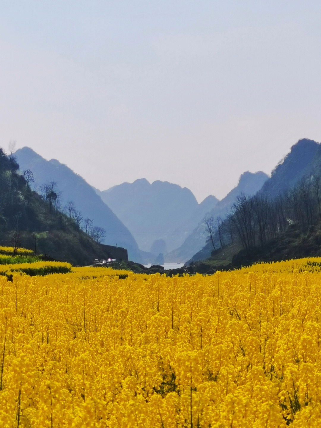 安顺油菜河水库