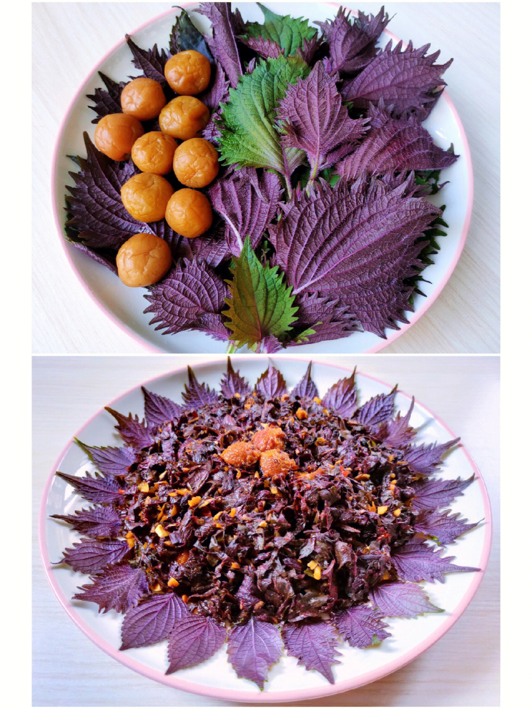 紫苏叶的吃法图片大全图片