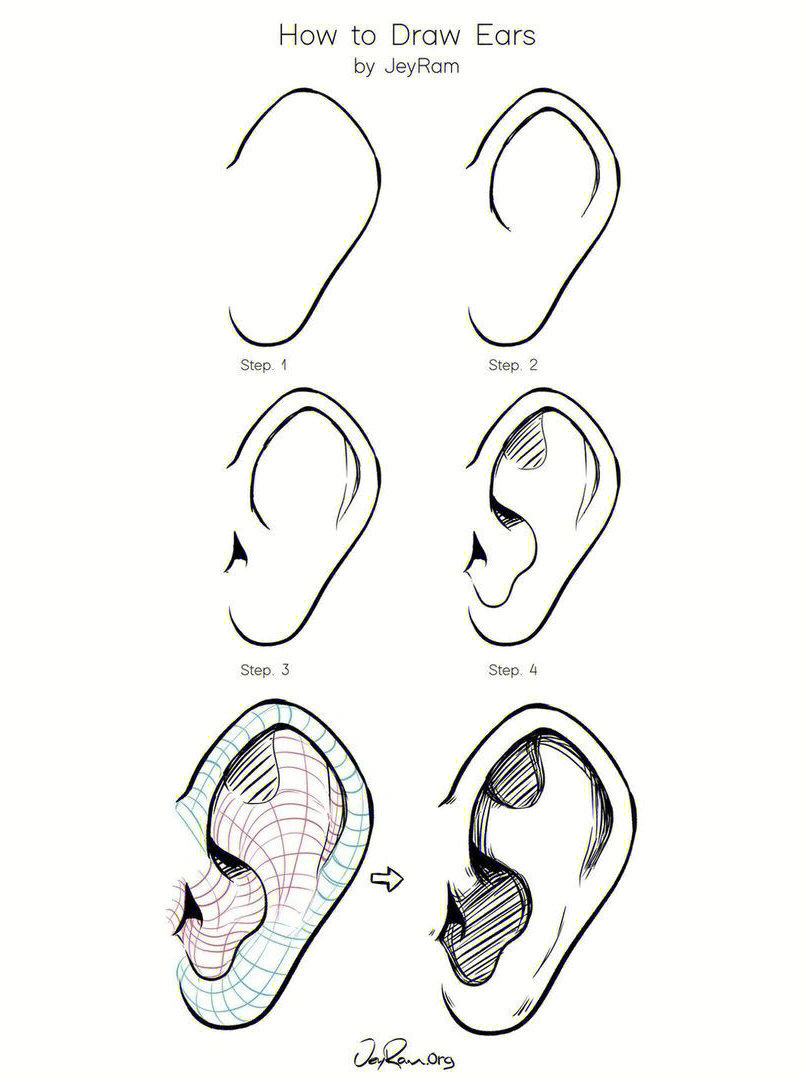 耳朵结构复杂,按步骤画更快