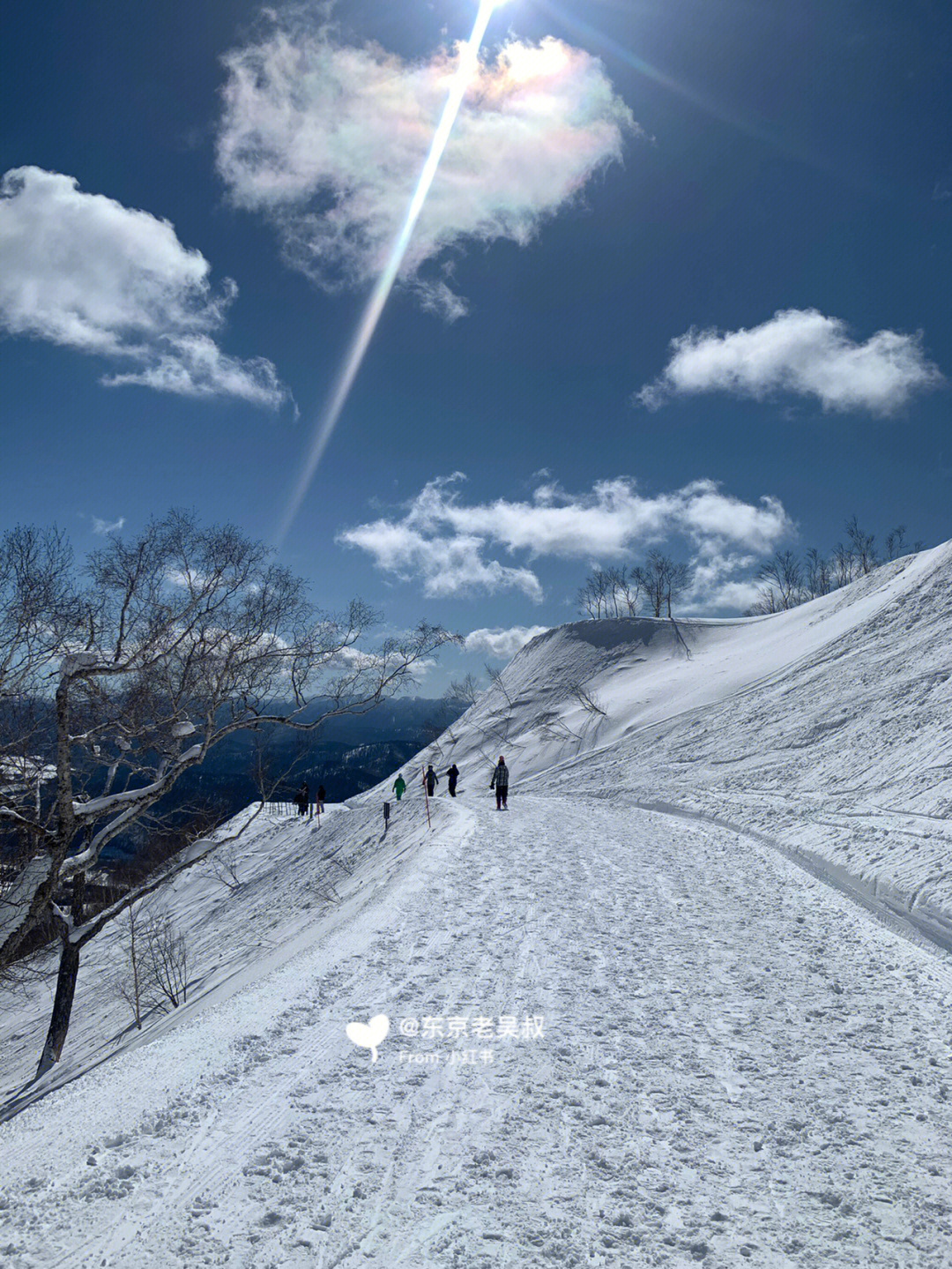 回到东京再看这些照片就是对另一个世界的奢求了,以后多去看看#雪景