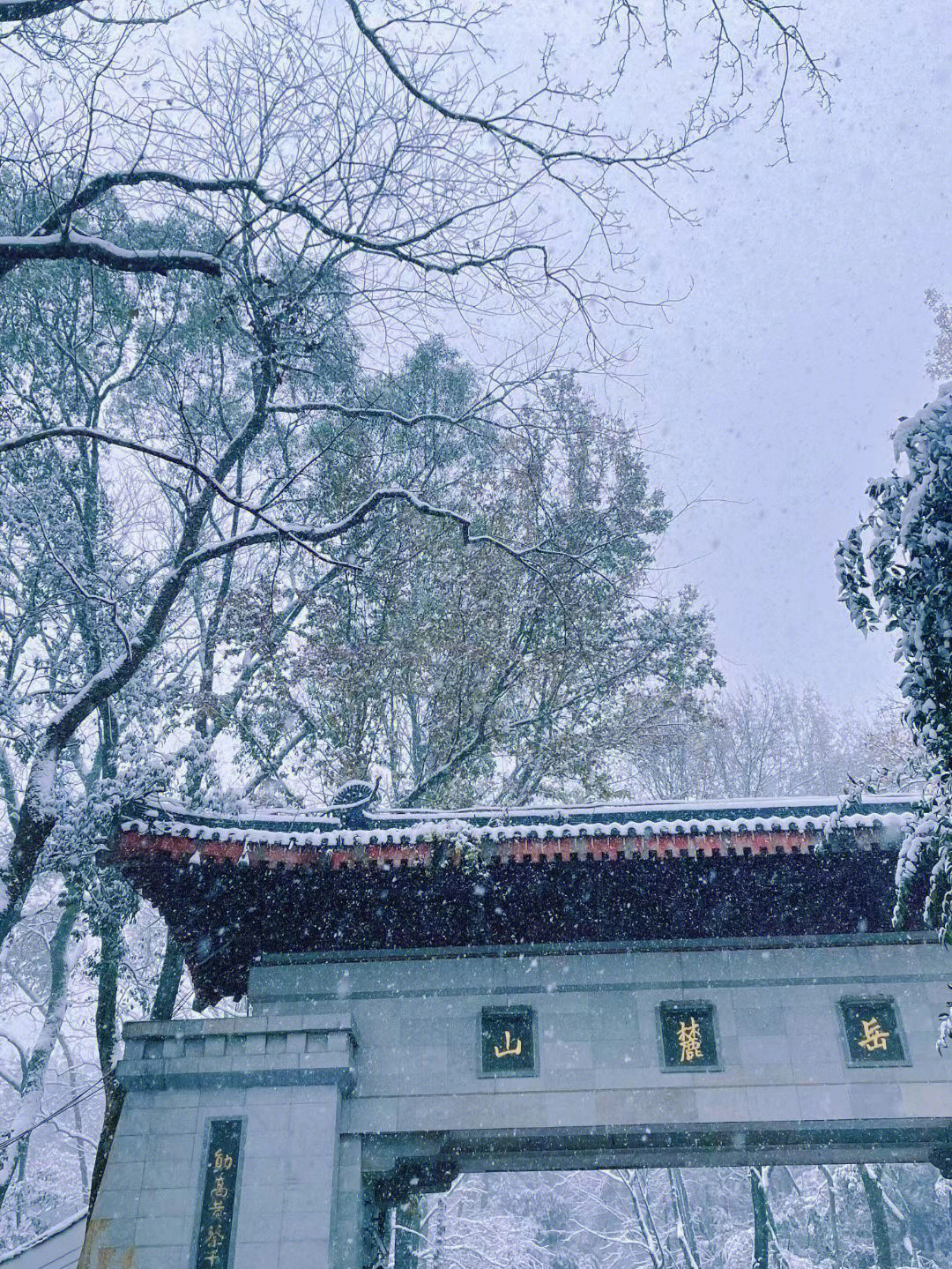 岳麓书院雪景图片