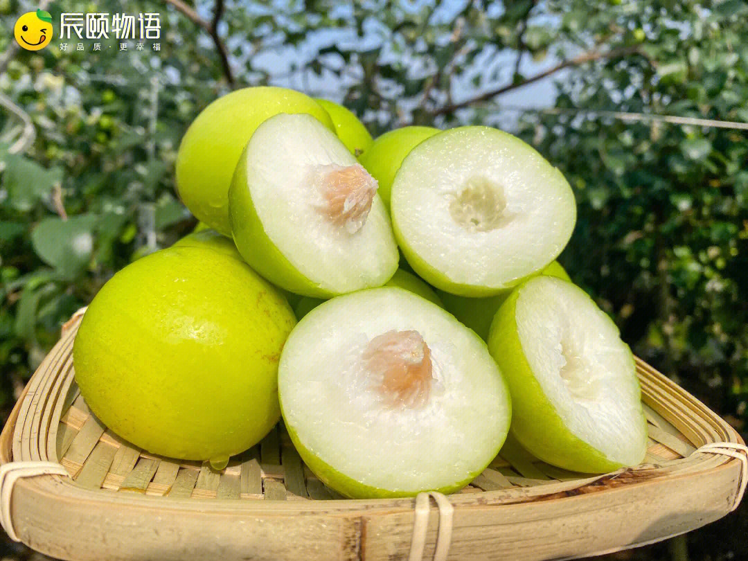 福建贵妃牛奶枣脆如苹果甜如蜜梨皮薄核