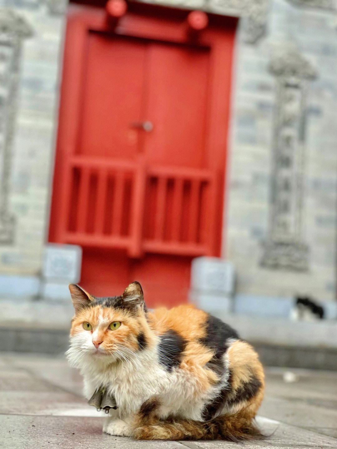 西安罔极寺住持图片