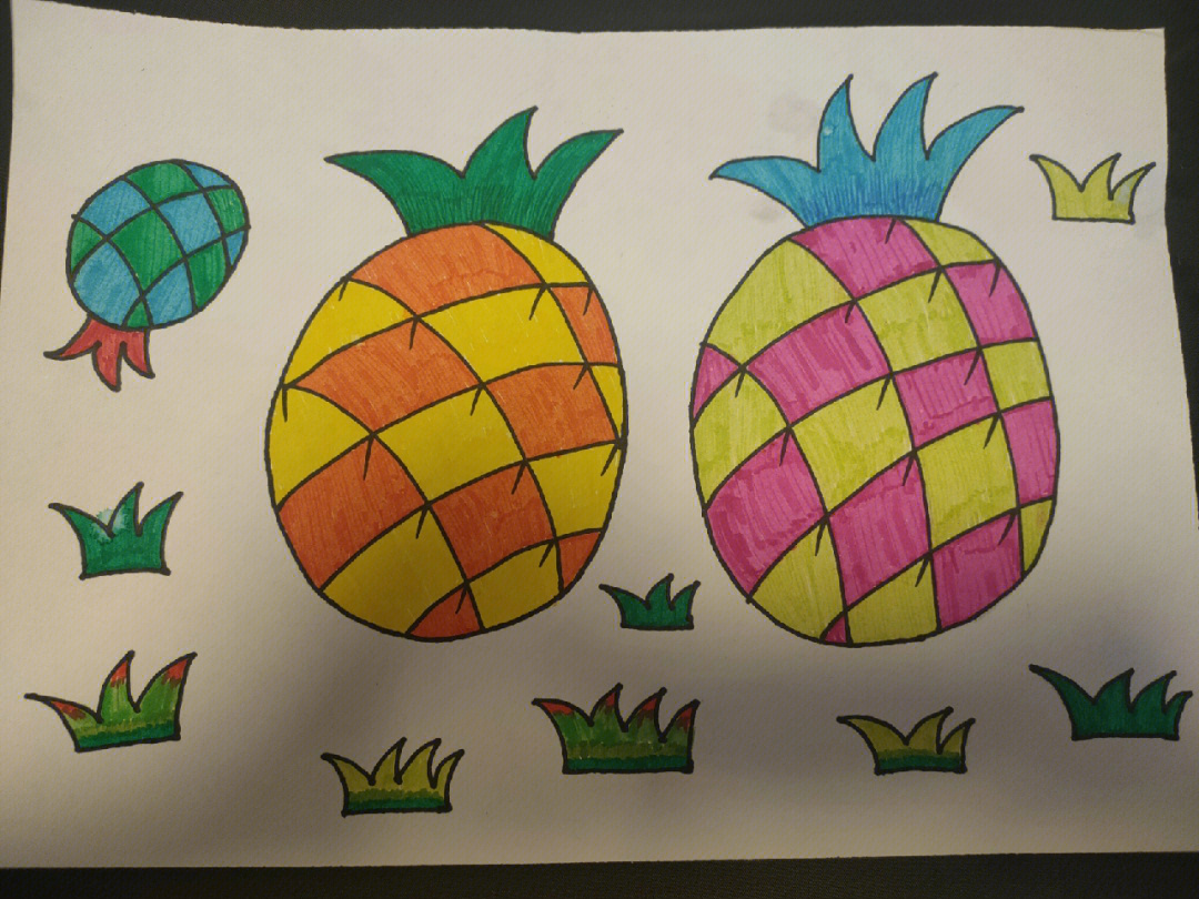 大班美术公开课画菠萝图片