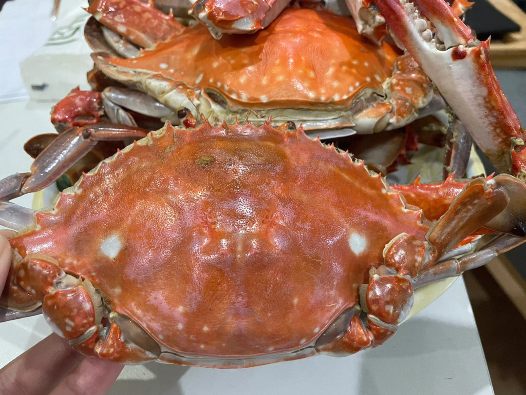 又到了吃螃蟹的季节了还是清蒸味道最好了肉质很肥美#舟山梭子蟹