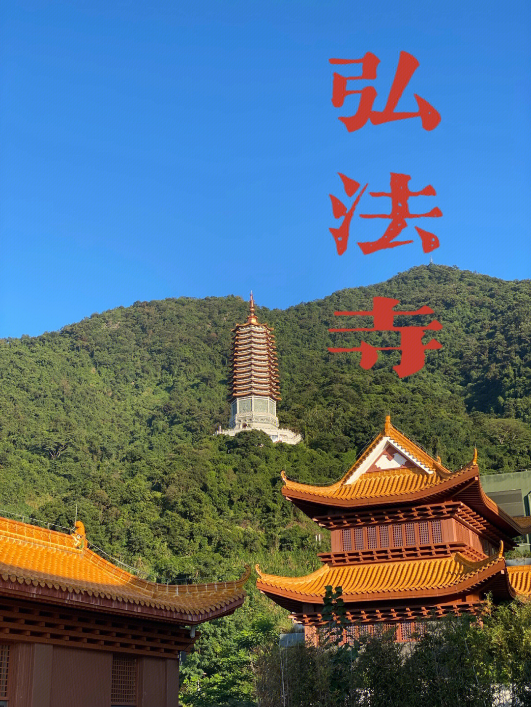 深圳弘法寺深圳有求必应的寺庙