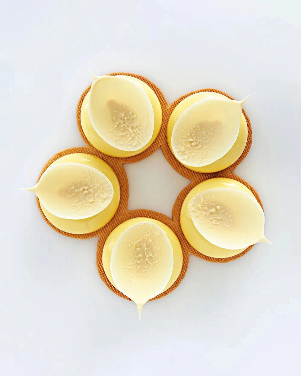 柠檬花柱头图片